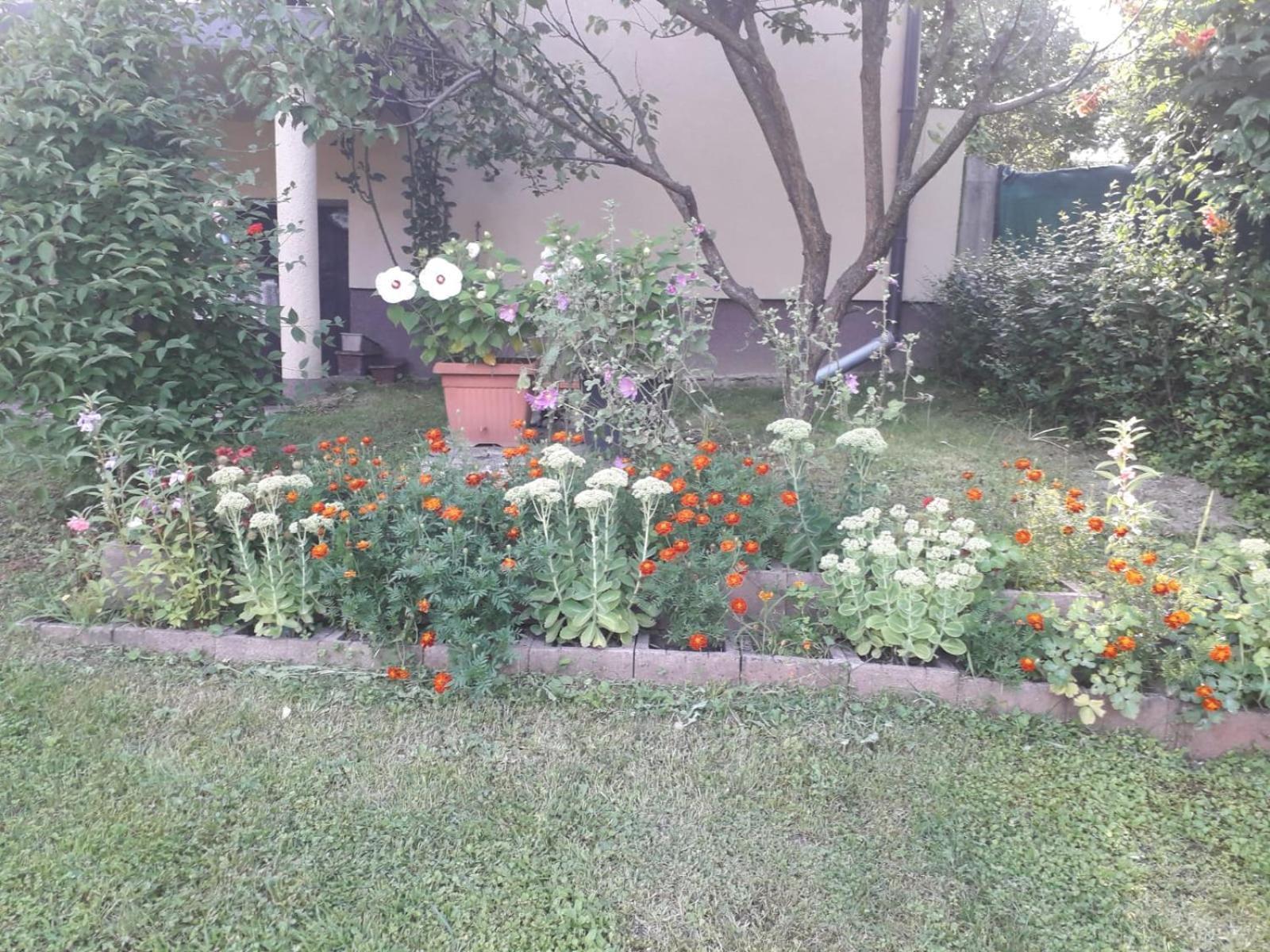 فيلا Kuca Za Odmor Bajtica Jesenovec المظهر الخارجي الصورة
